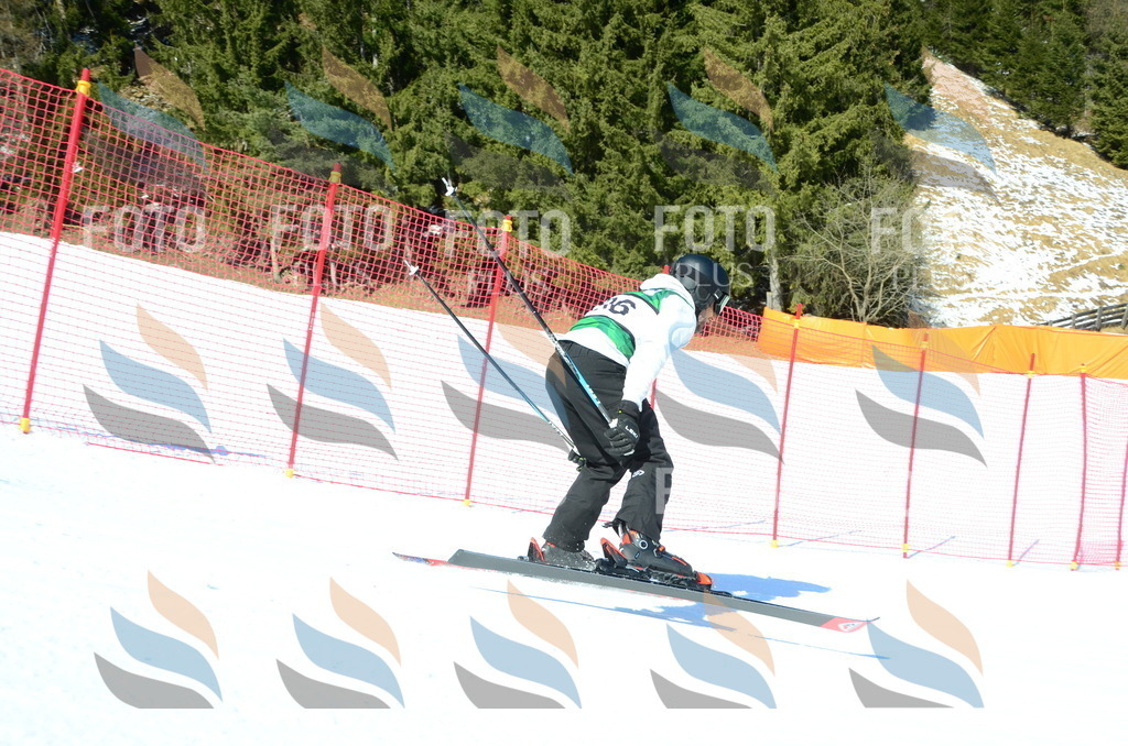 C6574 | holidayphoto