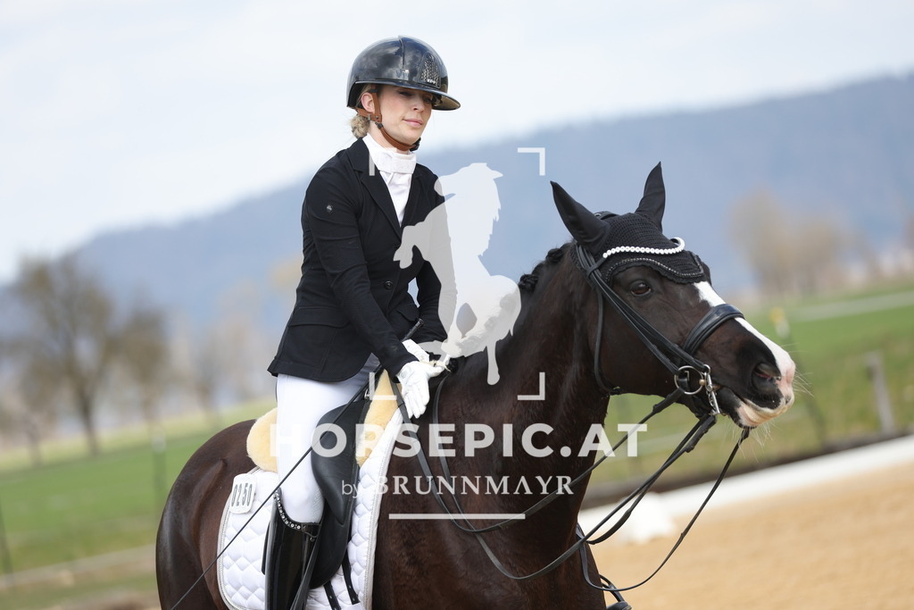 0P6A6656 | Willkommen bei Brunnmayr - Design & Fotografie – Ihrem Spezialisten für Reitturniere und Pferdeveranstaltungen in Oberösterreich, Salzburg und Bayern! Seit über 17 Jahren sind wir leidenschaftlich dabei.