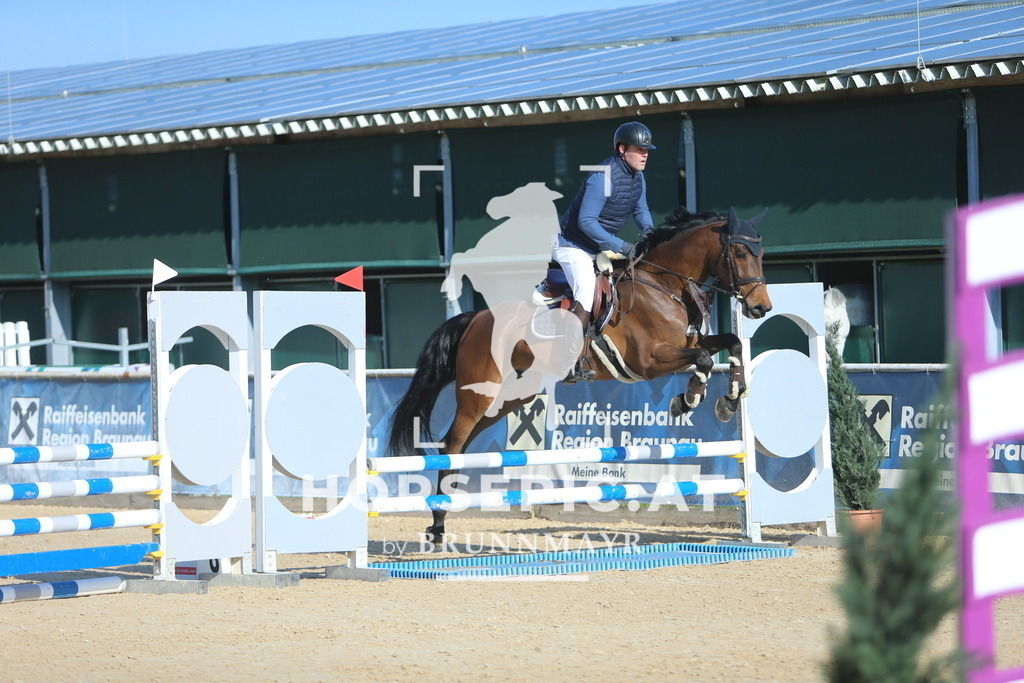 DL2Q7665 | Willkommen bei Brunnmayr - Design & Fotografie – Ihrem Spezialisten für Reitturniere und Pferdeveranstaltungen in Oberösterreich, Salzburg und Bayern! Seit über 17 Jahren sind wir leidenschaftlich dabei.