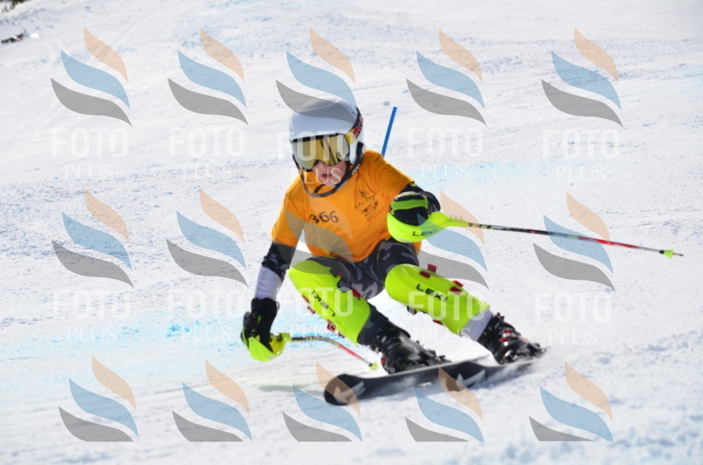 C9887 | holidayphoto