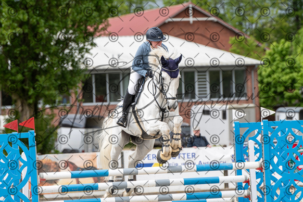 KPT_9858 | andre_photographic