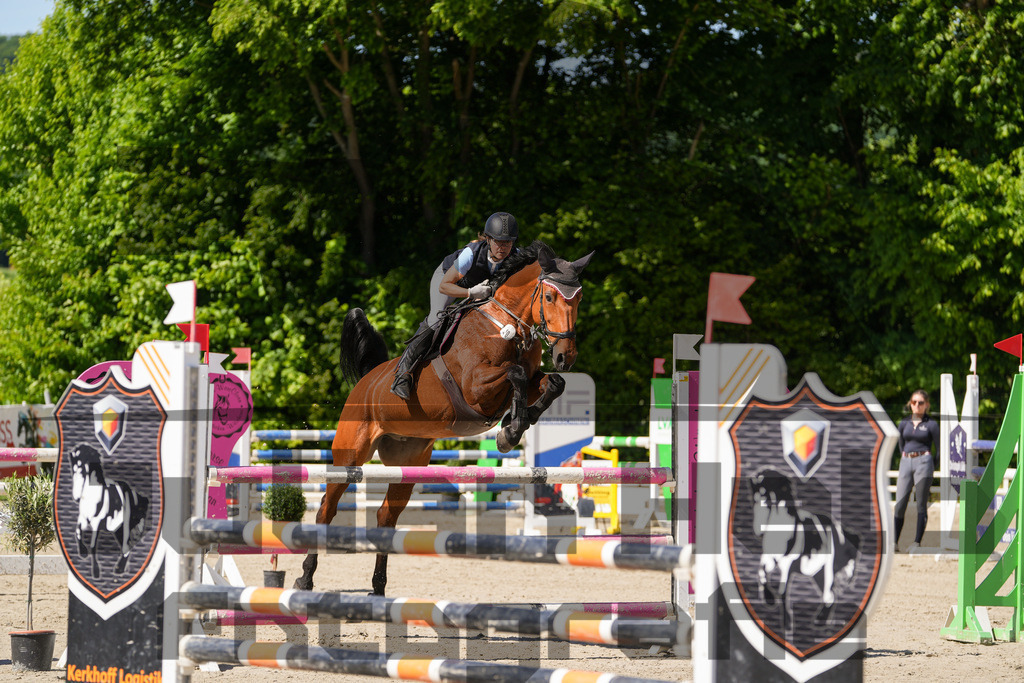 DSC02369 | Julian Held Fotografie - Realisiert mit Pictrs.com