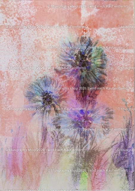 Asterngruß Variation 05 | Zeichnung von Vera Zschecked exclusiv auf titusgraphy.eu - Realisiert mit Pictrs.com