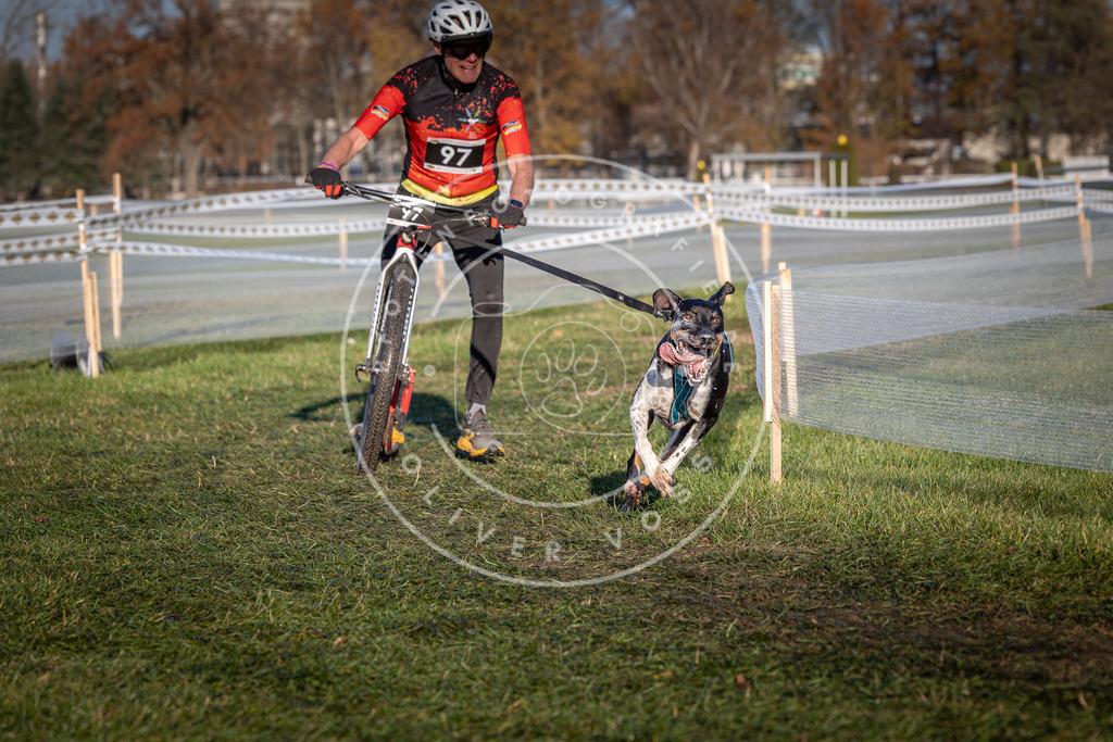 CaniXpix_0L8A4090 | Hundefotografie, Tierfotograf, Pfotenfotografie, Fotoshooting Hund, Hunde Portrait, Hundesport, Hundeportraits, Heideshooting, Hunde, Sportfotograf, Hundefotograf, Turnierhundsport, THS,  - Realisiert mit Pictrs.com