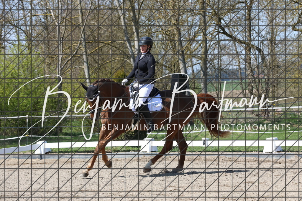 AZ2A5287 | Benjamin Bartmann Photomoments