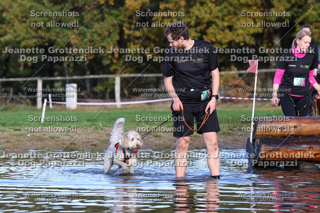 Dog Paparazzi - Strongdog 10-25-8594 | Dog Paparazzi Jeanette Grottendiek Fotografie & Videografie - Realisiert mit Pictrs.com