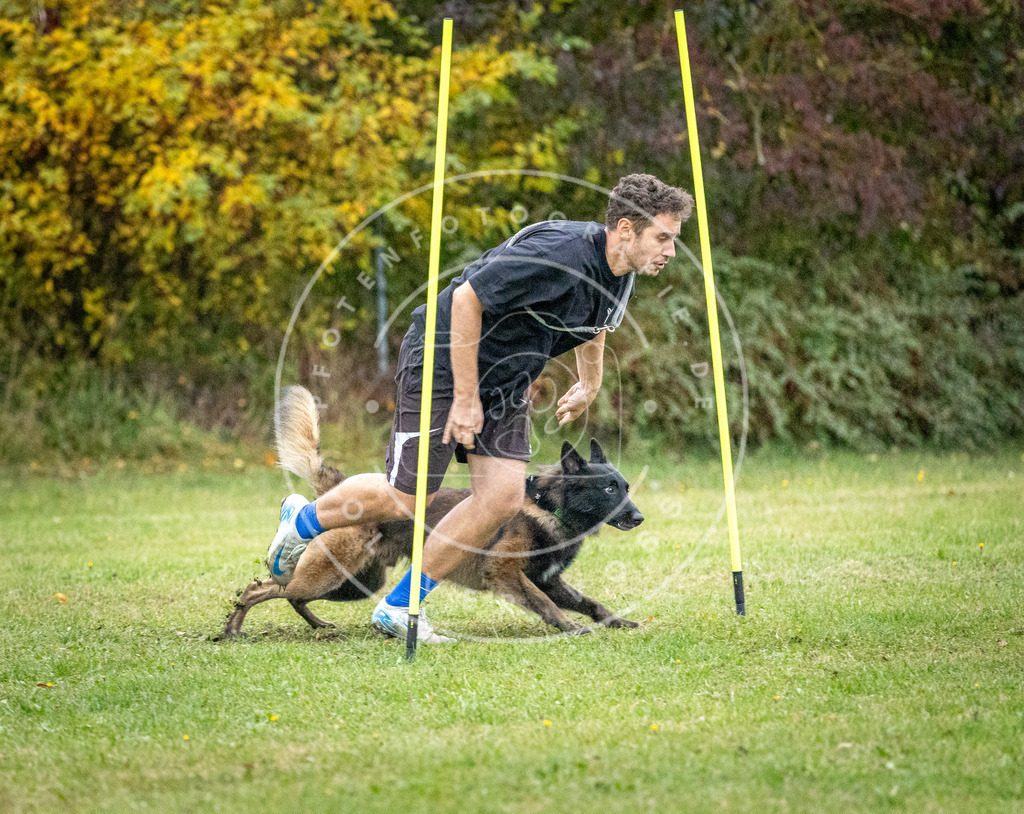 Pfotenfotografie_DV3A1373 | Hundefotografie, Tierfotograf, Pfotenfotografie, Fotoshooting Hund, Hunde Portrait, Hundesport, Hundeportraits, Heideshooting, Hunde, Sportfotograf, Hundefotograf, Turnierhundsport, THS,  - Realisiert mit Pictrs.com