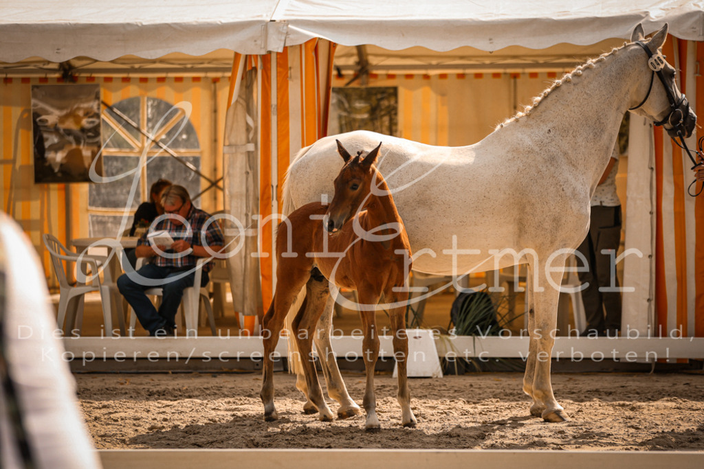 09.DoWBD00098 | Leoni Ertmer Photography - Realisiert mit Pictrs.com