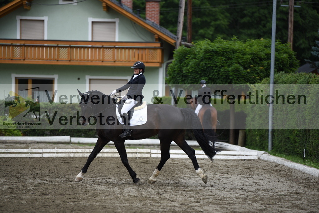 DSC_4615 | equestrian-live-com