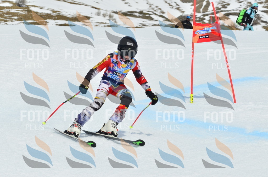 _ELE2859 | holidayphoto