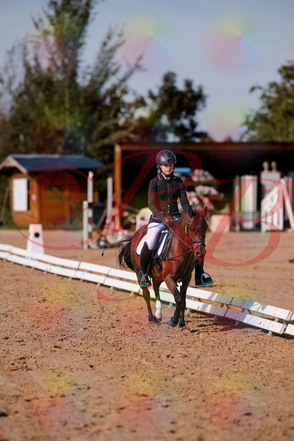 2026_10_03_Siefer-Hof_120650_Z81_07952936 | Professionelle Reitsport-, Turnier- und Eventfotografie von Robert Broda. Galerien mit ausgewählten und bearbeiteten Bildern direkt online ansehen und bestellen.