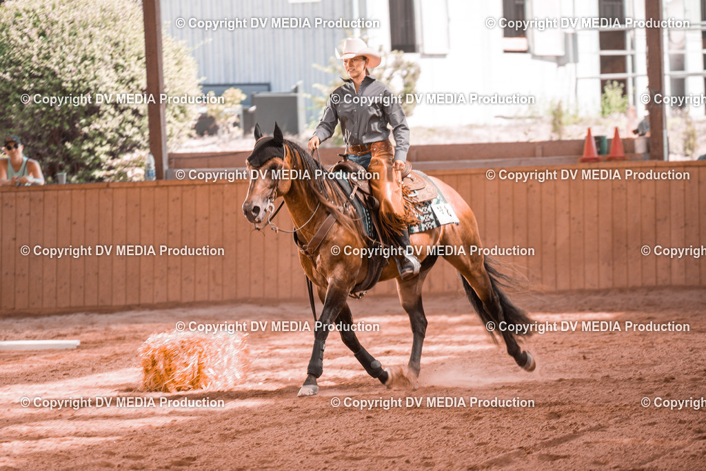 NE300291 | dv-media-shop - Realisiert mit Pictrs.com