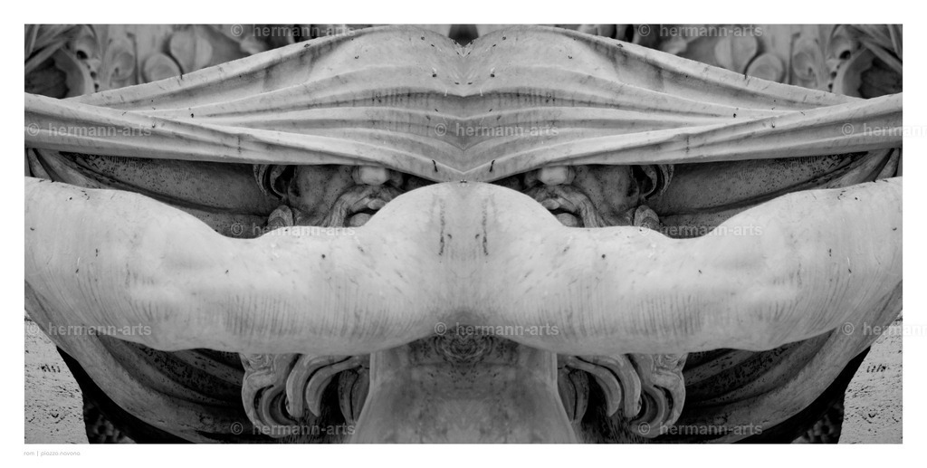 Hermann-Arts_Spiegelbilder_043 | Photo Foto Kunst Art schwarzweiss Bilder Rheine Münster Berlin Blumen 