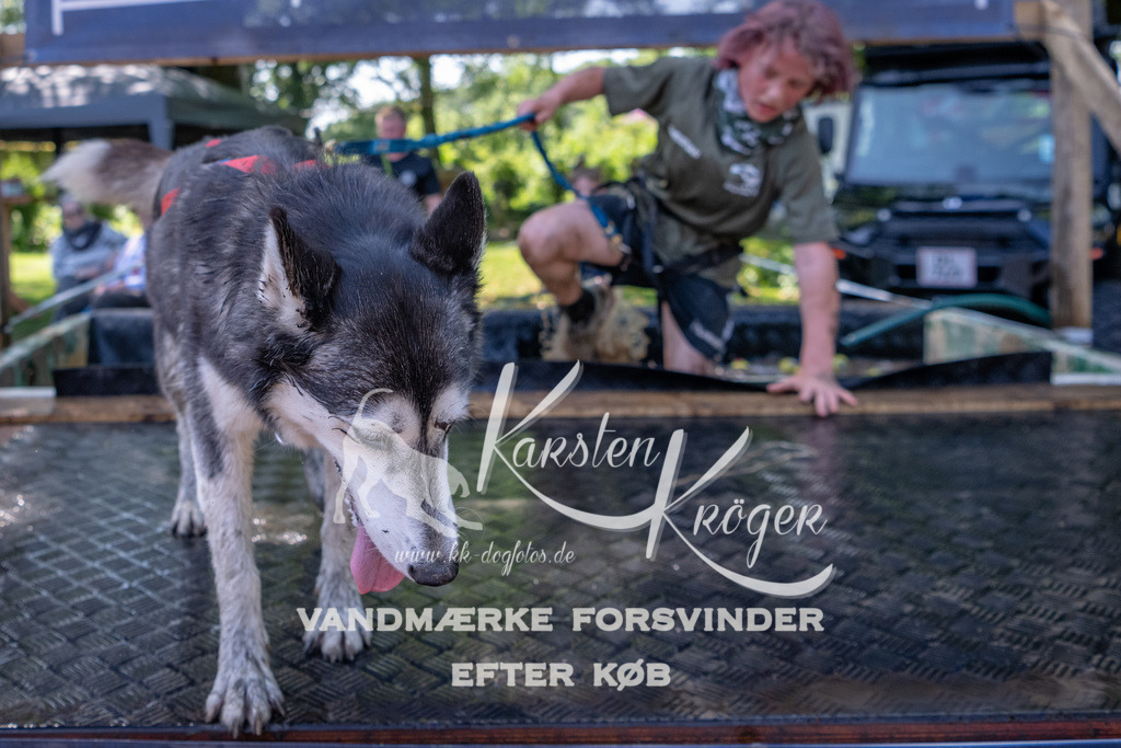 1348_ZZ92230 | kk-dogfotos
