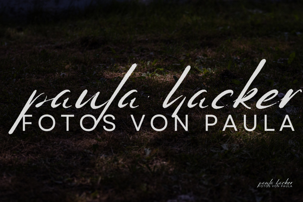 IMG_8325 | Erleben Sie dynamische Sport- und emotionale Tierfotografie in Süddeutschland mit Fotos von Paula. Spezialisiert auf Pferde- und Hundefotografie sowie Sportevents. Kontaktieren Sie mich für einzigartige und ausdrucksstarke Bilder Ihrer besonderen Momente. - Realisiert mit Pictrs.com