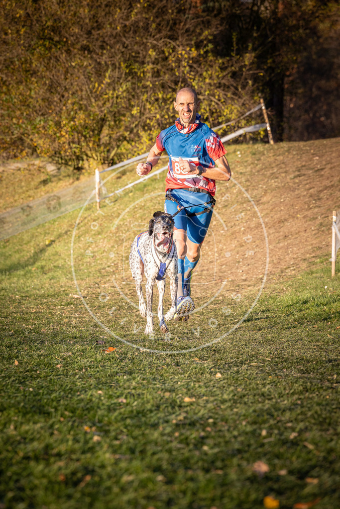 CaniXpix_0L8A1099 | Hundefotografie, Tierfotograf, Pfotenfotografie, Fotoshooting Hund, Hunde Portrait, Hundesport, Hundeportraits, Heideshooting, Hunde, Sportfotograf, Hundefotograf, Turnierhundsport, THS,  - Realisiert mit Pictrs.com