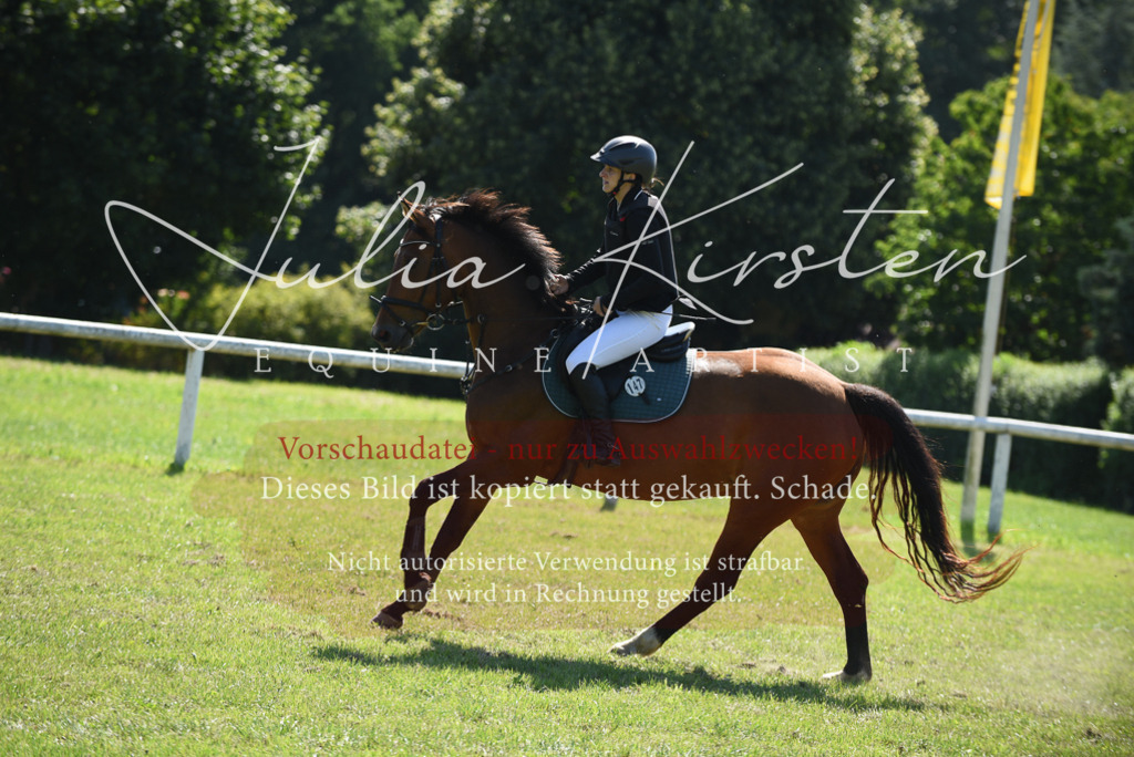 DSC_9330 | Pferde- und Turnierfotografie in Westsachsen. Pferdeportraits, Auftragszeichnungen und intuitive Kunst.