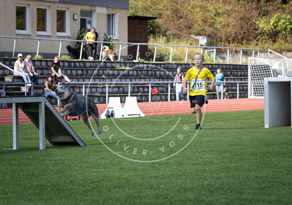 Pfotenfotografie_DV3A8349 | Hundefotografie, Tierfotograf, Pfotenfotografie, Fotoshooting Hund, Hunde Portrait, Hundesport, Hundeportraits, Heideshooting, Hunde, Sportfotograf, Hundefotograf, Turnierhundsport, THS,  - Realisiert mit Pictrs.com