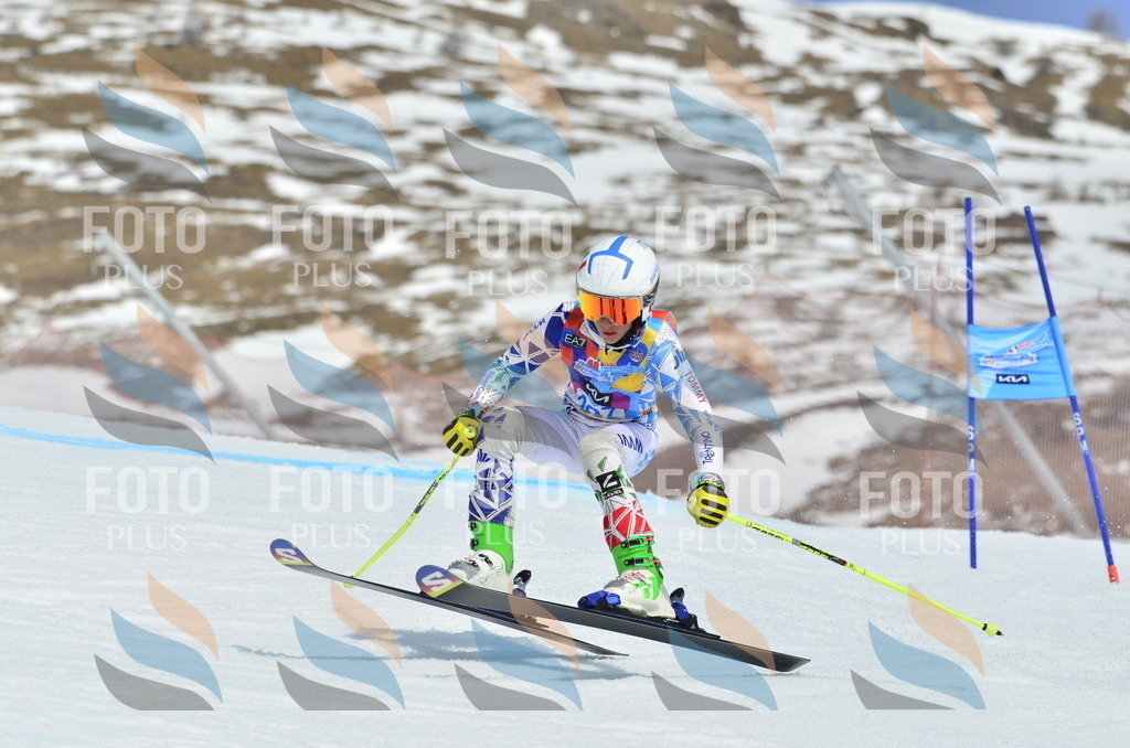 _ELE2139 | holidayphoto