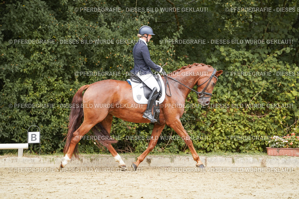 DSC09340 | Pferdegrafie