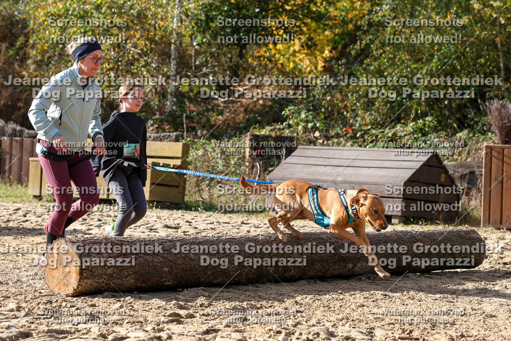 Dog Paparazzi - Strongdog 10-25-5935 | Dog Paparazzi Jeanette Grottendiek Fotografie & Videografie - Realisiert mit Pictrs.com