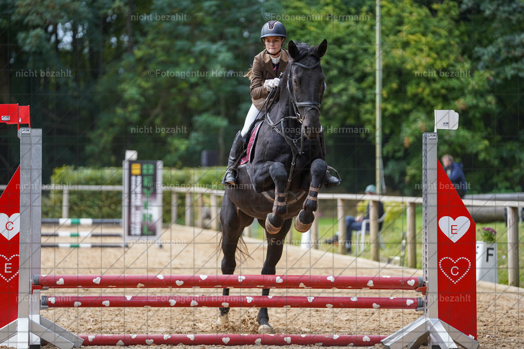 20231008-SN_01017 | Professionelle Turnier- und Reitsportfotografie - mit dem Finger am Auslöser. Pferdebilder aus dem Reitsport von den Turnierfotografen  Bayern , Pferdefotograf Bayern, Pferdeshooting Turnierbilder, Hochzeitsfotograf, Eventfotograf, Hochzeitsbilder