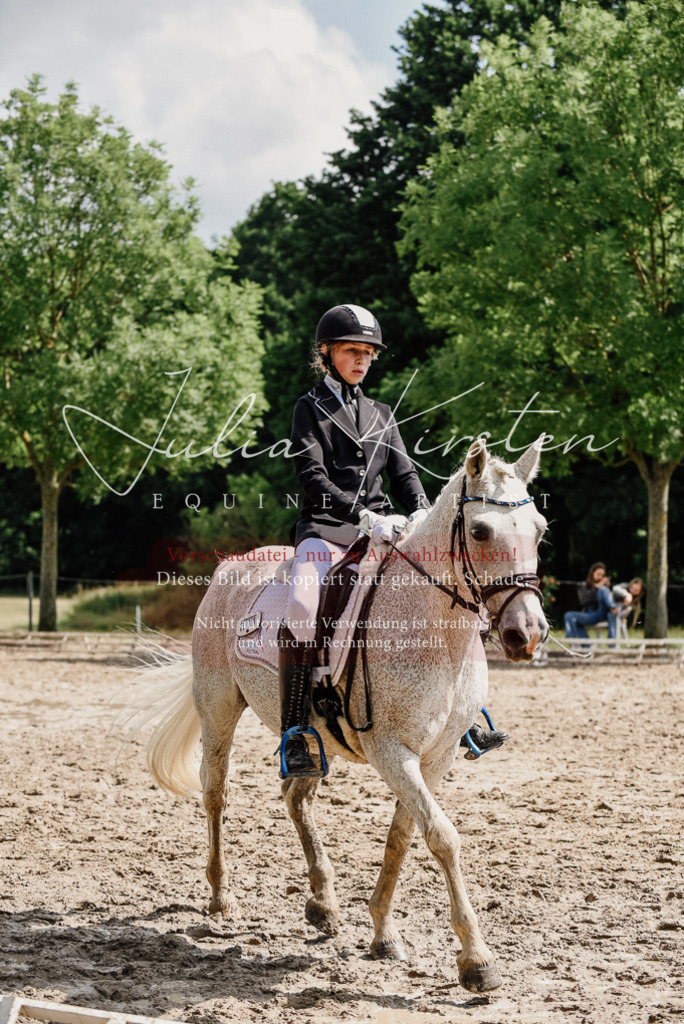 DSC_0539 | Pferde- und Turnierfotografie in Westsachsen. Pferdeportraits, Auftragszeichnungen und intuitive Kunst.