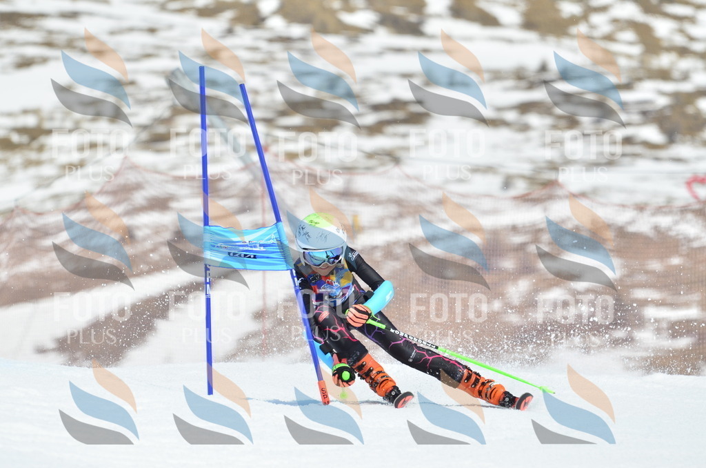 _ELE2372 | holidayphoto