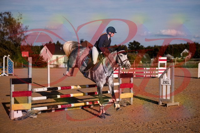2026_10_03_Siefer-Hof_171341_Z81_10668205 | Professionelle Reitsport-, Turnier- und Eventfotografie von Robert Broda. Galerien mit ausgewählten und bearbeiteten Bildern direkt online ansehen und bestellen.