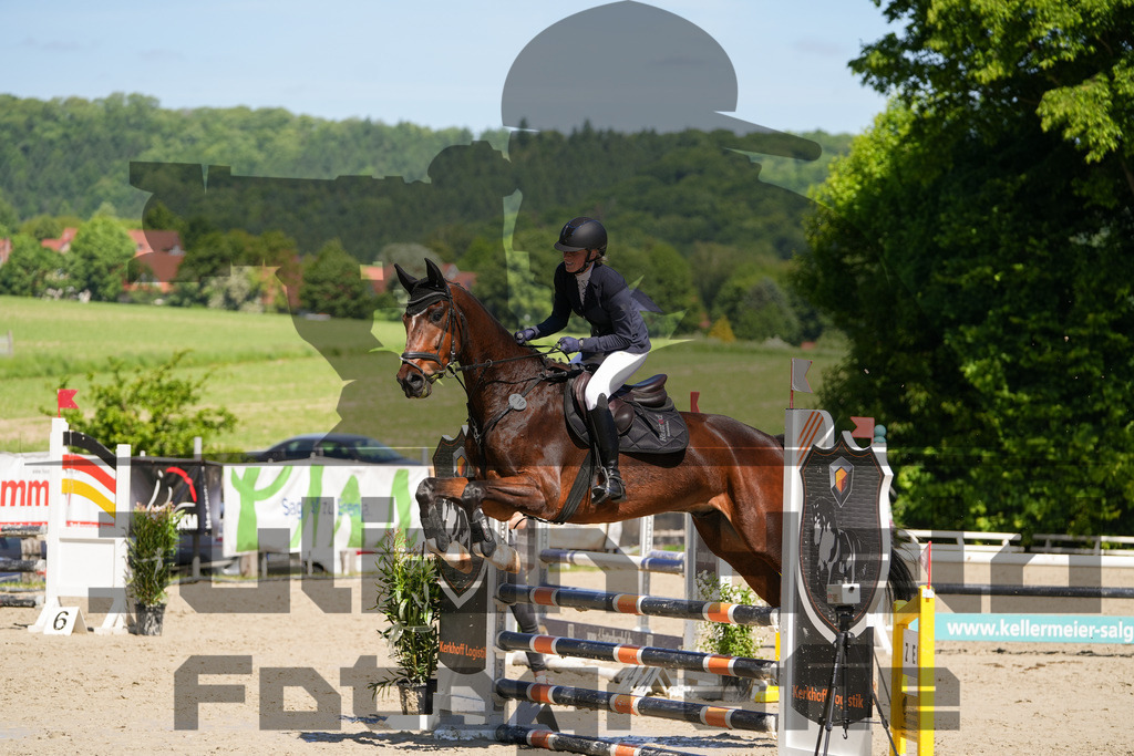 DSC02217 | Julian Held Fotografie - Realisiert mit Pictrs.com