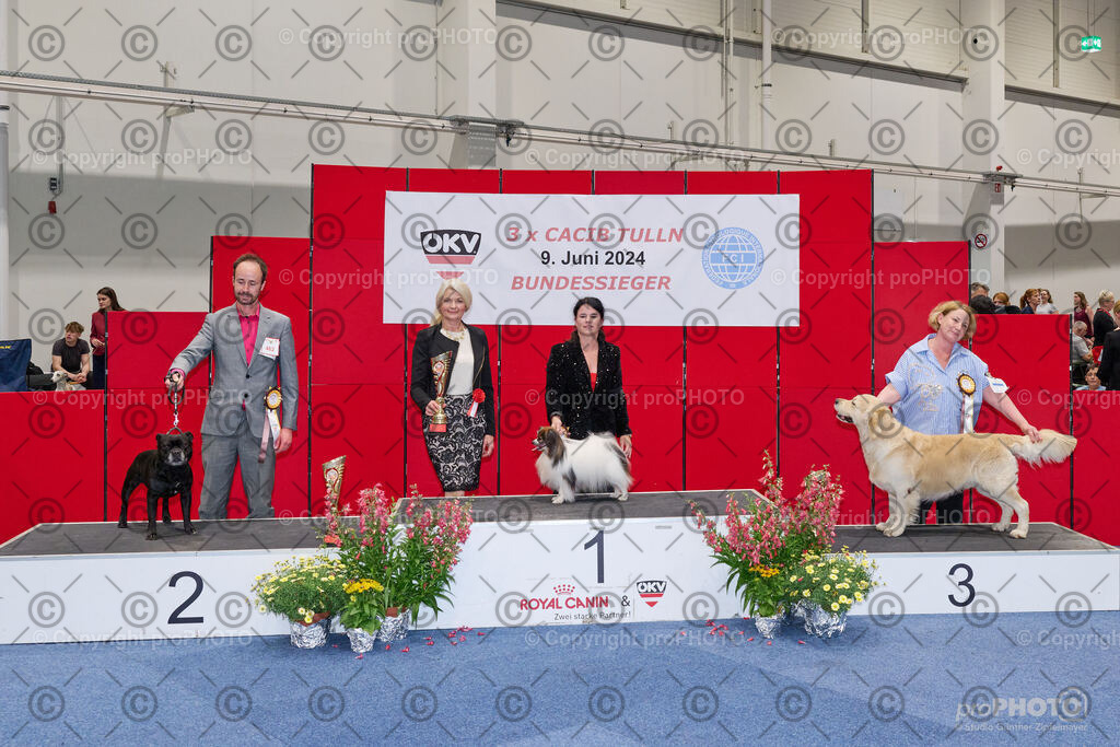 202406_ÖKV-IHA-Tulln24_NZ9_9456 | proPHOTO - Realisiert mit Pictrs.com