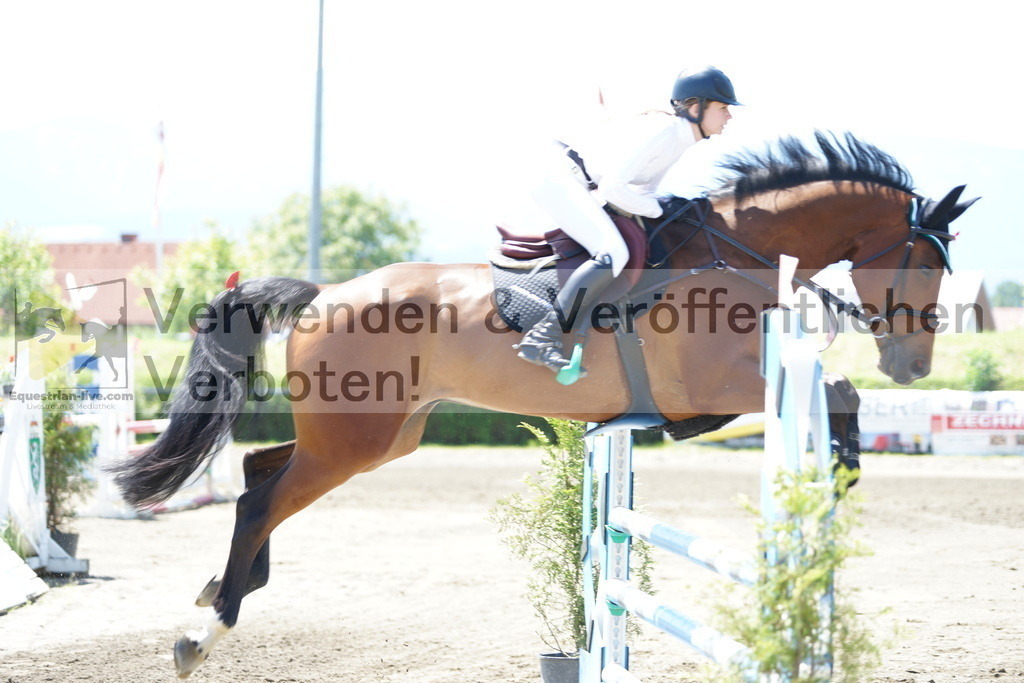 DSC06089 | equestrian-live-com