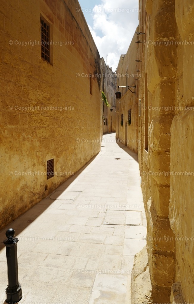 L1010566 | romberg-arts, romberg-arts.de, www.romberg-arts.de, Foto_Online_Shop, Julia Fuhrmann, Köln, Fotos, Fotografie, Fotokunst, Kunstdrucke, Naturfotos, Aktfotos, Nacktfotos, schwarz_weiß_Fotos, Blumenfotos, Blumen, Tiere, Beton, Korrosion, Lächeln, Drucke