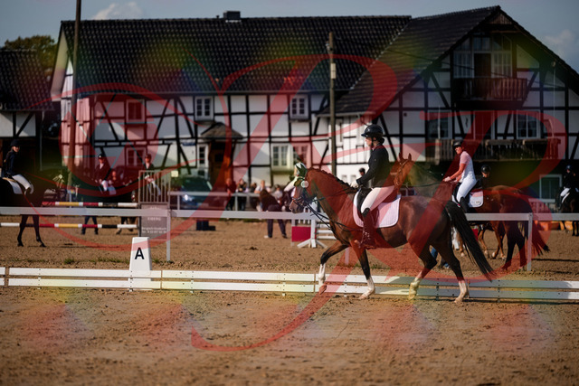 2026_10_03_Siefer-Hof_115517_Z63_30645320 | Professionelle Reitsport-, Turnier- und Eventfotografie von Robert Broda. Galerien mit ausgewählten und bearbeiteten Bildern direkt online ansehen und bestellen.