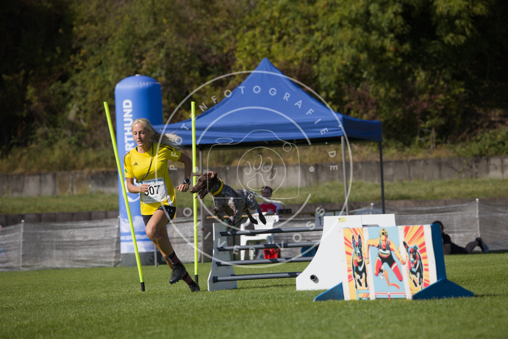 0L8A7797 | Hundefotografie, Tierfotograf, Pfotenfotografie, Fotoshooting Hund, Hunde Portrait, Hundesport, Hundeportraits, Heideshooting, Hunde, Sportfotograf, Hundefotograf, Turnierhundsport, THS,  - Realisiert mit Pictrs.com