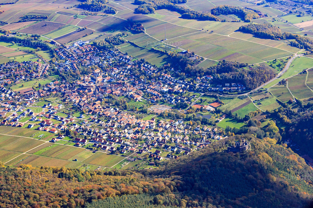 Luftbild: Dorf hinter der Burg Landeck in Klingenmünster im Bundesland Rheinland-Pfalz in Deutschland. Foto: IMG_34804.jpg vom 26.10.2010 durch Werner Riehm/FLY-FOTO.de