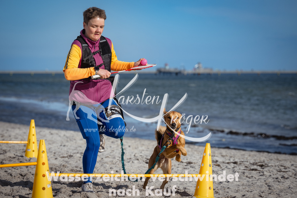 1355_ZZ94446 | kk-dogfotos