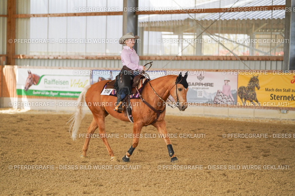 DSC02897 | Pferdegrafie