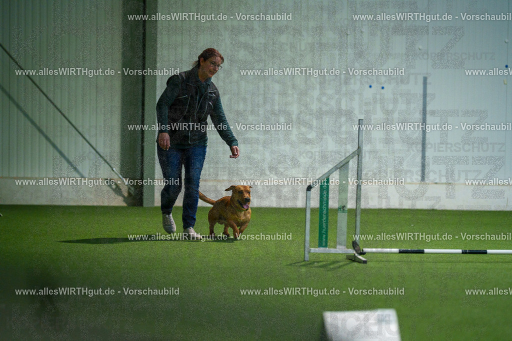 7R507190 | Professionelle Tierfotografie in Mönchengladbach von Daniel Wirth (allesWIRTHgut). Liebevolle & natürliche Bilder von Hunden & Katzen für unvergessliche Erinnerungen.