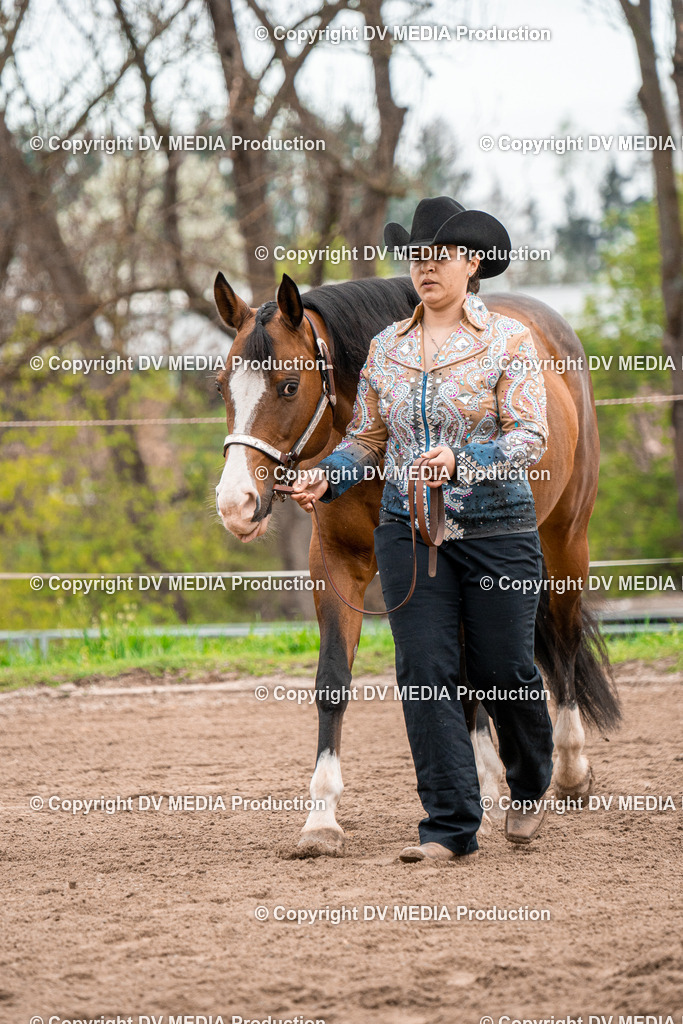 BA300156 | dv-media-shop - Realisiert mit Pictrs.com