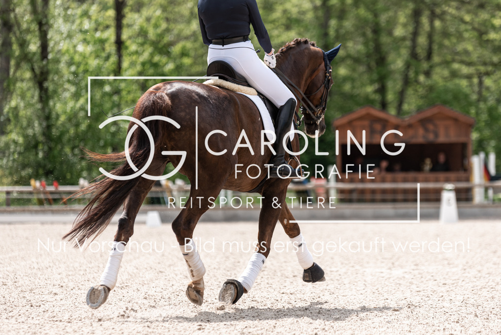 DSC_1150 | Turnierfotografin Carolin Gieschke, Turnierfotografie Carolin G Fotografie, Turnierfotos Kirchheim/Teck, Esslingen, Stuttgart, Bodenseekreis