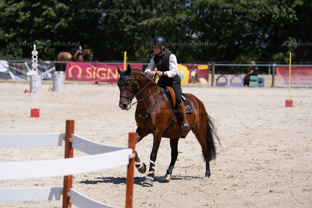 WM_SP_97_SinaFilmArt_IN07290 | working equitationturnier fotograf videograf stoibphotography marixx film working equitation deutschland reitsport turnierfotografie eventfotografie equestrian events