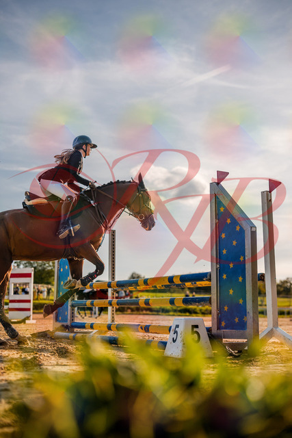 2026_10_03_Siefer-Hof_170827_Z63_20724327 | Professionelle Reitsport-, Turnier- und Eventfotografie von Robert Broda. Galerien mit ausgewählten und bearbeiteten Bildern direkt online ansehen und bestellen.