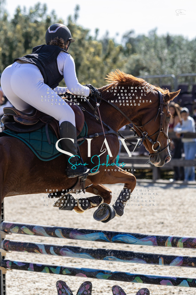 IMG_6337 | s-jay-photography - Realisiert mit Pictrs.com