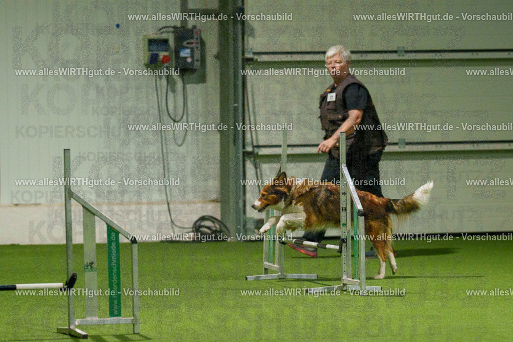 7R508808 | Professionelle Tierfotografie in Mönchengladbach von Daniel Wirth (allesWIRTHgut). Liebevolle & natürliche Bilder von Hunden & Katzen für unvergessliche Erinnerungen.