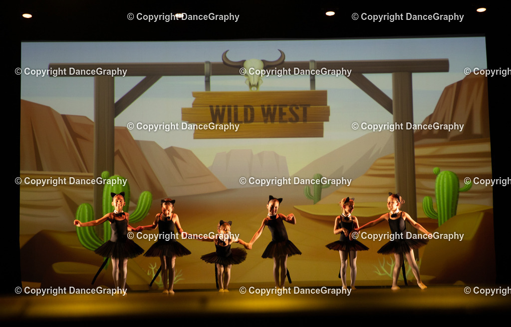 GPHY4238 | DanceGraphy - Realisiert mit Pictrs.com