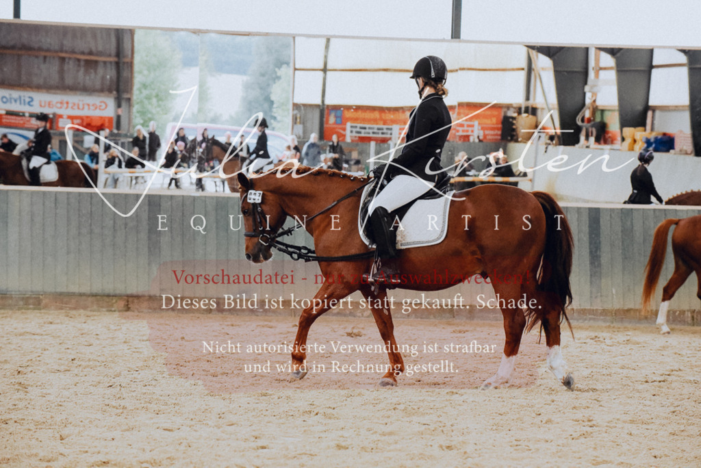 DSC_7281 | Pferde- und Turnierfotografie in Westsachsen. Pferdeportraits, Auftragszeichnungen und intuitive Kunst.