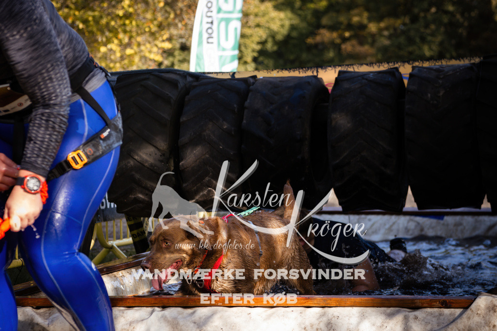 1050_ZZ92907 | kk-dogfotos