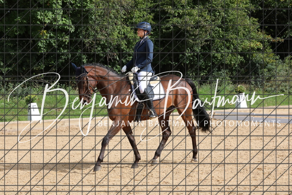 AZ2A2014 | Benjamin Bartmann Photomoments