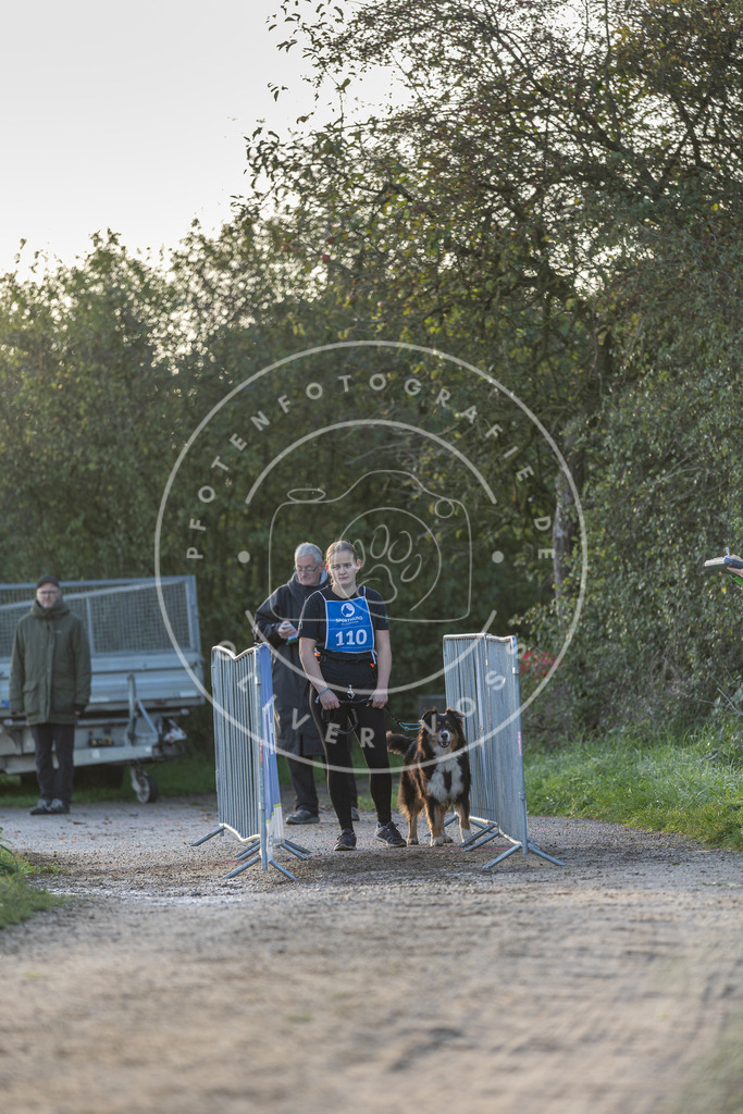 Pfotenfotografie.de_DV3A2527 | Hundefotografie, Tierfotograf, Pfotenfotografie, Fotoshooting Hund, Hunde Portrait, Hundesport, Hundeportraits, Heideshooting, Hunde, Sportfotograf, Hundefotograf, Turnierhundsport, THS, canicross - Realisiert mit Pictrs.com